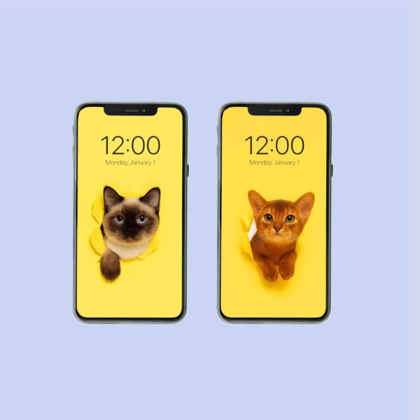 Digital Phone Wallpapers Cats/Cute Lock Screen/Avatars/Stickers - Image 2