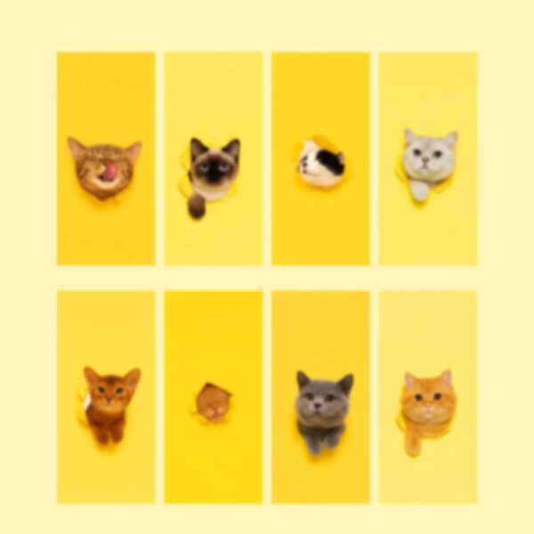 Digital Phone Wallpapers Cats/Cute Lock Screen/Avatars/Stickers - Image 3