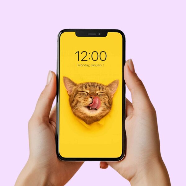 Digital Phone Wallpapers Cats/Cute Lock Screen/Avatars/Stickers