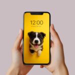 Digital Phone Wallpapers Dog/Cute Lock Screen/Avatars/Stickers