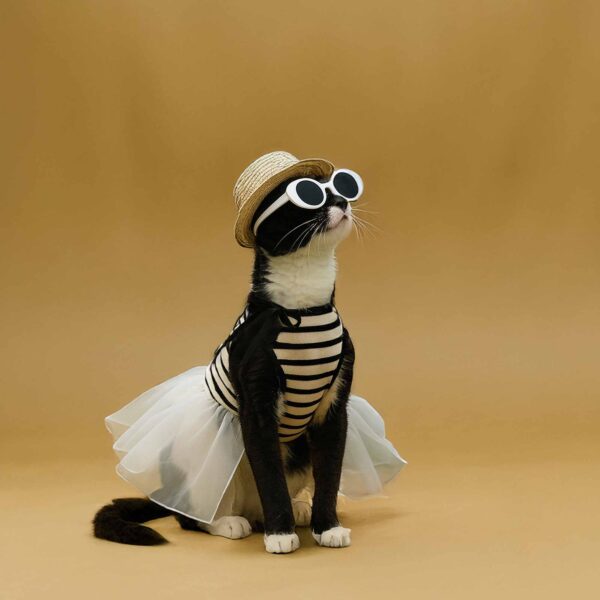 Strap Tutu Dress Set for Cats-Make 2 Sets (All Inclusive DIY Kit)