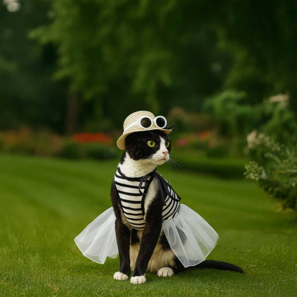 Strap Tutu Dress Set for Cats-Make 2 Sets (All Inclusive DIY Kit) - Image 3