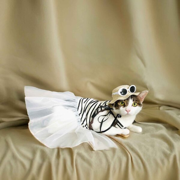 Strap Tutu Dress Set for Cats-Make 2 Sets (All Inclusive DIY Kit) - Image 4