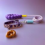 Signature Personalized Dog Collar Walk Bread Kit