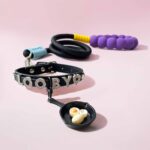 Signature Personalized Dog Collar Walk Frying Pan Kit