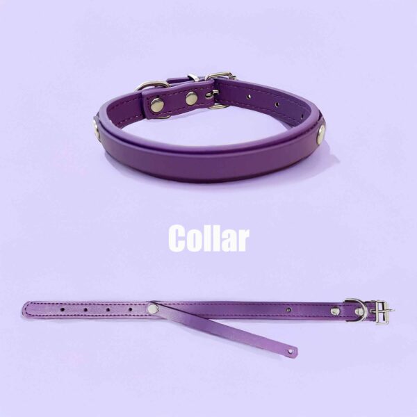 Signature Personalized Dog Collar Walk Bread Kit - Image 6