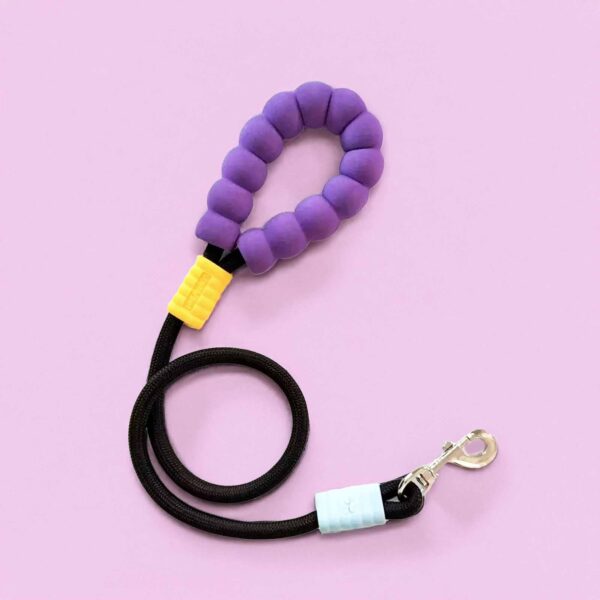 Signature Personalized Dog Collar Walk Frying Pan Kit - Image 7