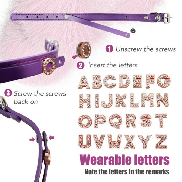 Personalized Dog Collar with Charm and Shinning Dog Name - Image 12