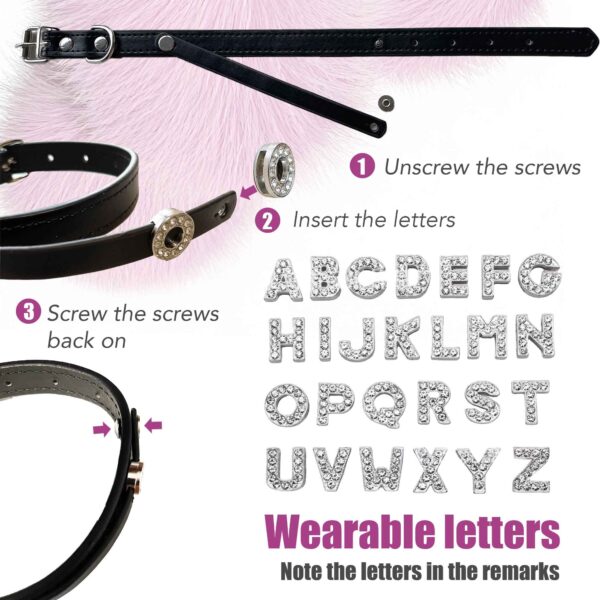 Signature Personalized Dog Collar Walk Frying Pan Kit - Image 5