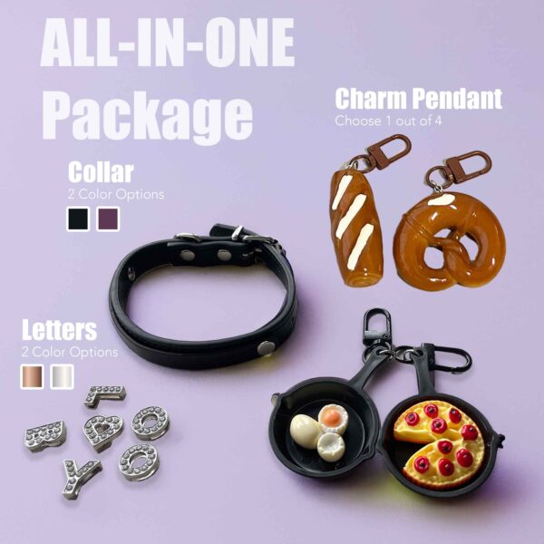Personalized Dog Collar with Charm and Shinning Dog Name - Image 11