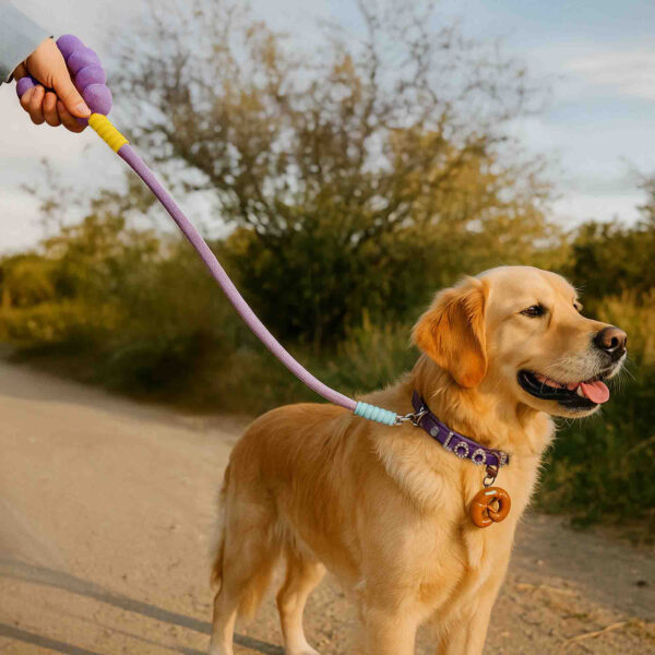 Signature Personalized Dog Collar Walk Bread Kit - Image 2
