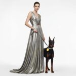 Cheer Up Happy Vibes - Designer Collar