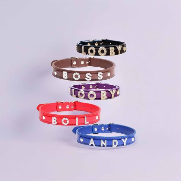 Personalized Dog Collar with Charm and Shinning Dog Name - Image 9