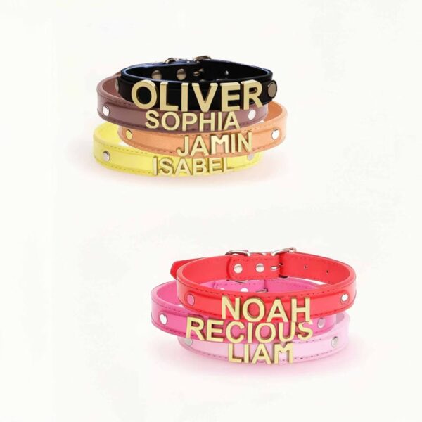 Personalized Dog Collar with Gold Dog Name - Image 4