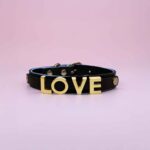 Personalized Dog Collar with Gold Dog Name