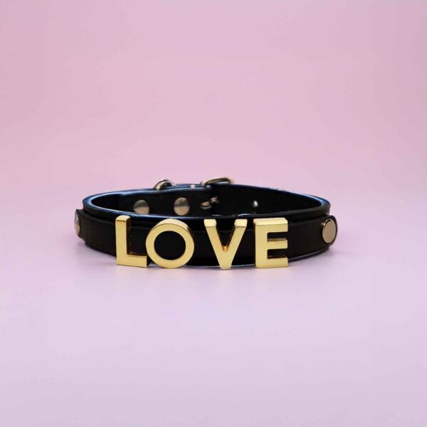 Personalized Dog Collar with Playful Designs and Gold Dog Name - Image 3