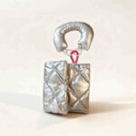 Puffy Clouds Poop Bag Carrier