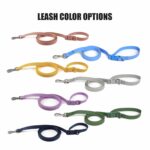 Hands-Free Dog Leash