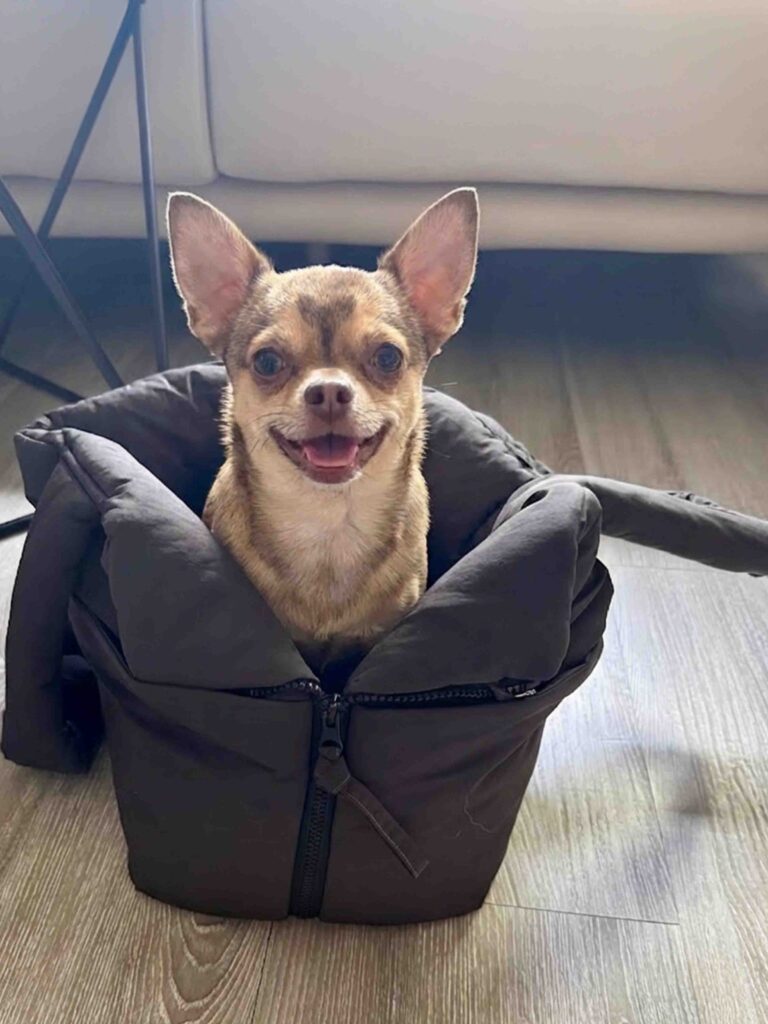 Image #1 from Marisol