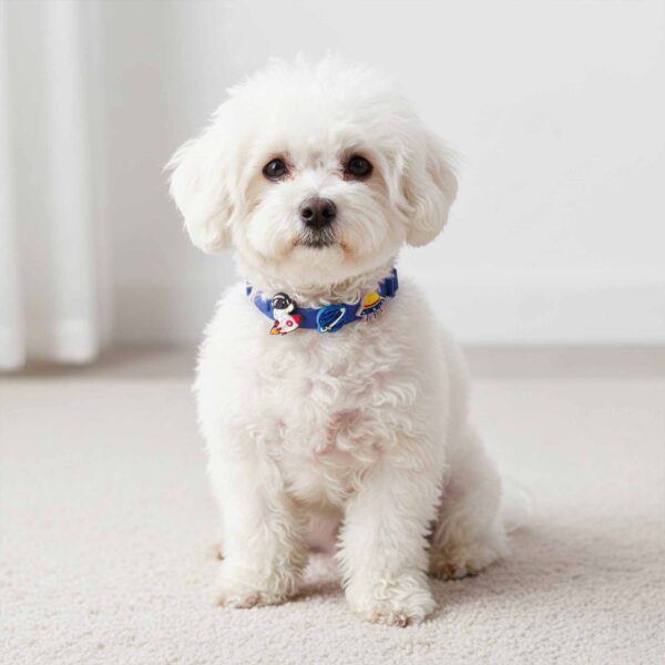 Personalized Dog Collar with Playful Designs - Galaxy Stella Search - Image 3