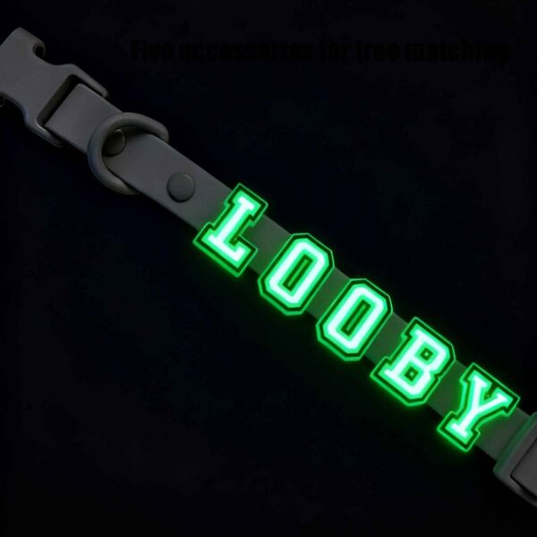 Personalized Dog Collar with Playful Designs - Glow Luminous Letter Name - Image 5