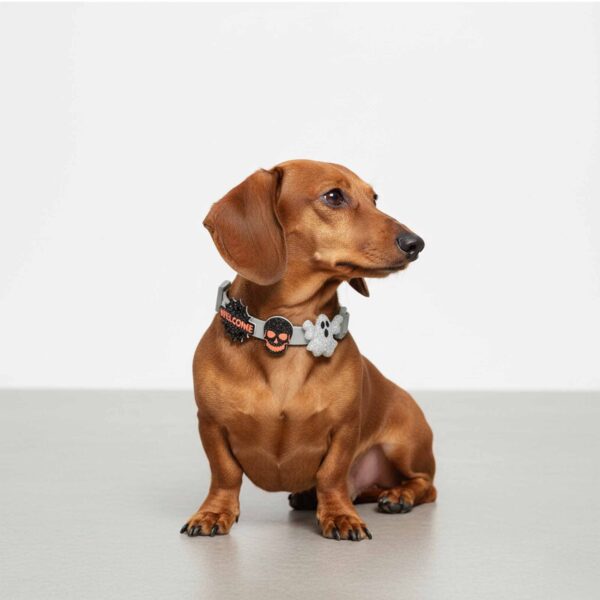 Personalized Dog Collar with Playful Designs - Halloween Party Q - Image 2