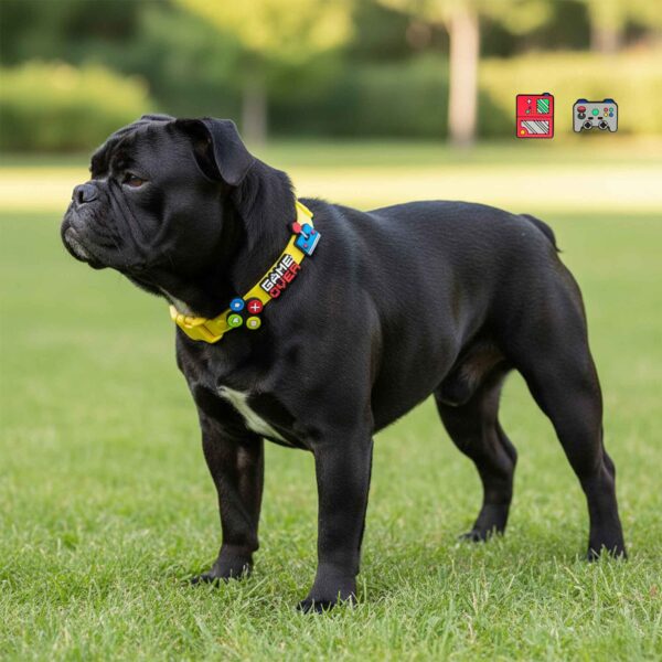 Personalized Dog Collar with Playful Designs - Cool GameBOY - Image 4