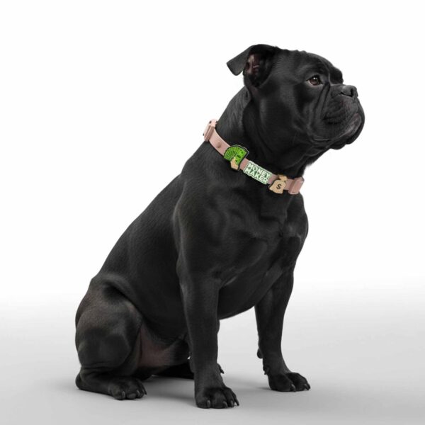 Personalized Dog Collar with Playful Designs - Make Me Rich Rap King