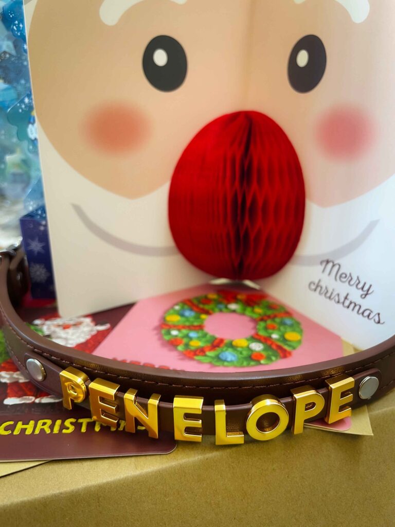 Image #1 from Ellery