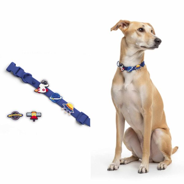 Personalized Dog Collar with Playful Designs - Galaxy Stella Search