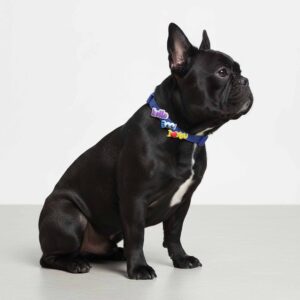 Personalized Dog Collar with Playful Designs - Glow Luminous Magic