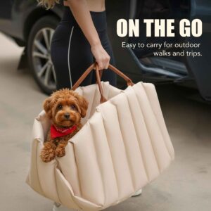 Multi Function Cloudy Comfort Pet Car Seat Carriers & Travel Tote Bag