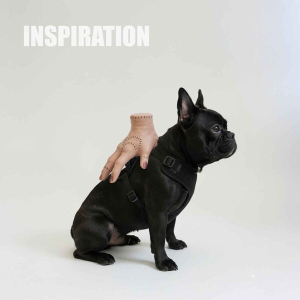 Halloween Costumes - Spooky Hand for Pets or Scary hand for People Decor - Image 3