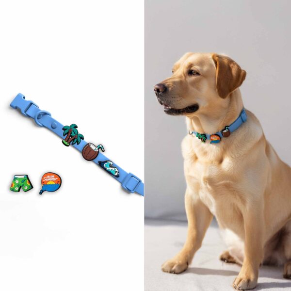 Personalized Dog Collar with Playful Designs Charms - Family Beach Vacation - Image 2