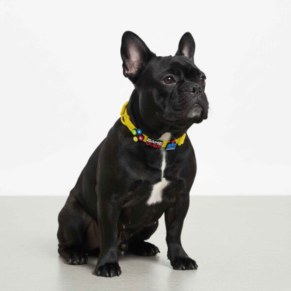 Personalized Dog Collar with Playful Designs - Cool GameBOY