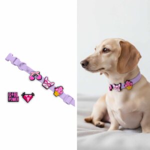 Personalized Dog Collar with Playful Designs - Girl Power
