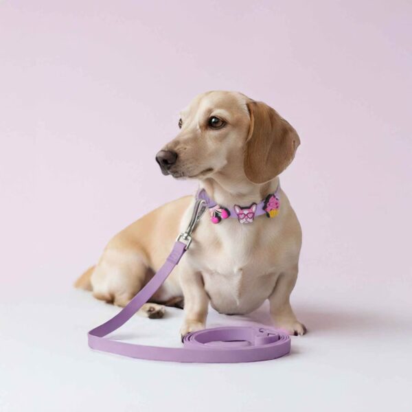 Personalized Dog Collar Leash Full Set with Playful Designs - Girl Power - Image 2