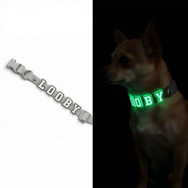 Personalized Dog Collar with Playful Designs - Glow Luminous Letter Name - Image 2