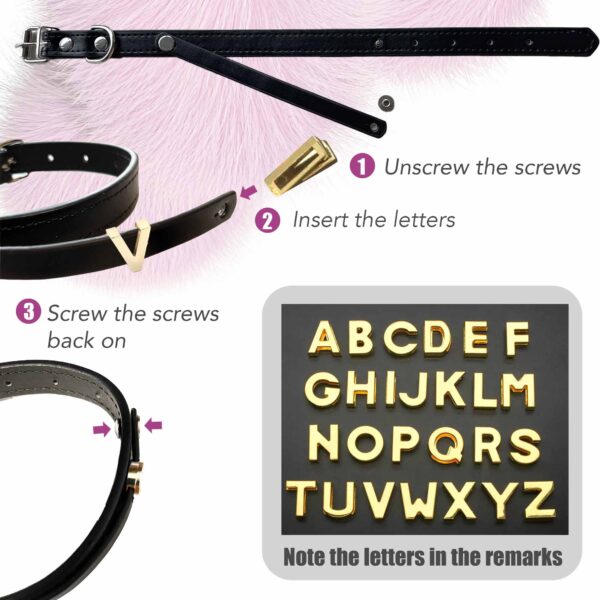 Personalized Dog Collar with Playful Designs and Gold Dog Name - Image 5
