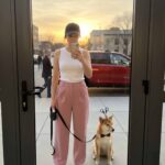 Cutest Costume and Decroations at Halloween Party for Pets-scissor decro