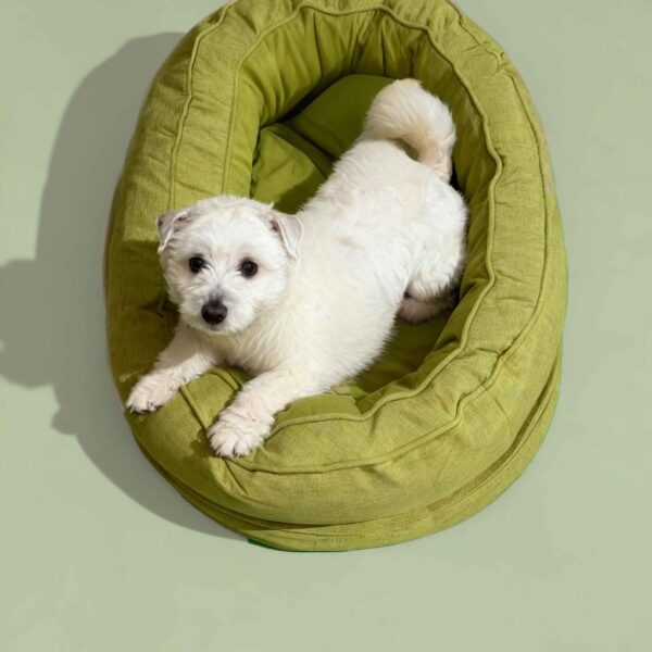 CloudSnug Orthopedic Donut Bed Non-Slip Waterproof - Image 3