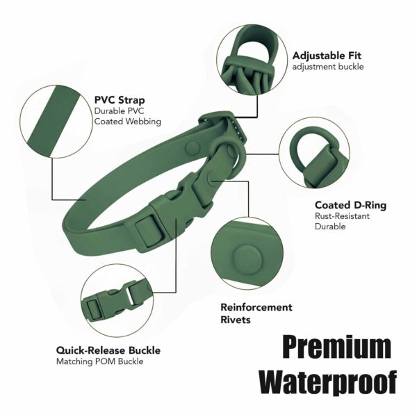 Personalized Dog Collar Leash Full Set with Playful Designs - Super Bowl Sport Fans - Image 4