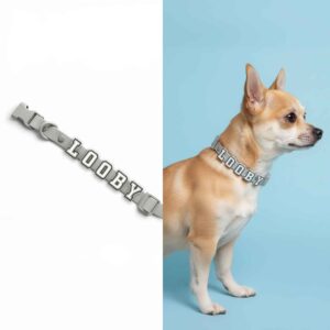 Personalized Dog Collar with Playful Designs - Glow Luminous Letter Name