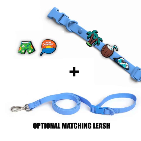Personalized Dog Collar with Playful Designs Charms - Family Beach Vacation - Image 5