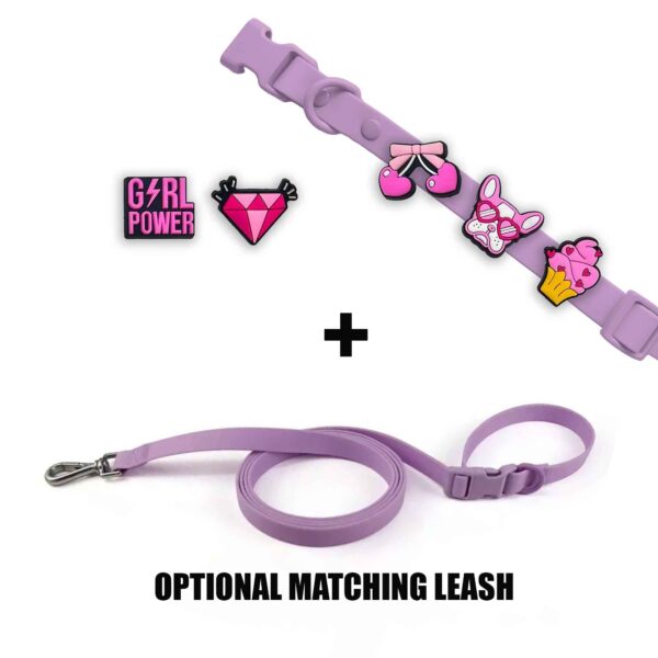 Personalized Dog Collar with Playful Designs - Girl Power - Image 5