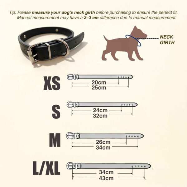 Personalized Dog Collar with Gold Dog Name - Image 5