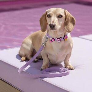 Personalized Dog Collar Leash Full Set with Playful Designs - Girl Power