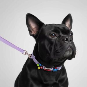 Designer Dog Collar Leash Full Set with Playful Designs - Wild One Cool GameBOY