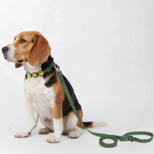 Personalized Dog Collar Leash Full Set with Playful Designs - Emoji Face