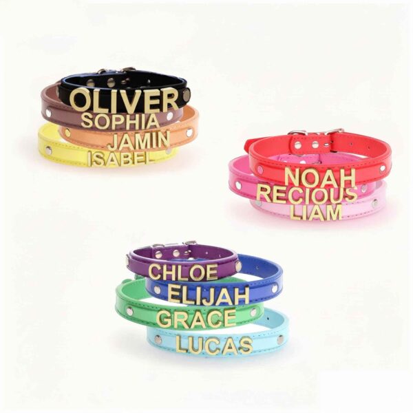 Personalized Dog Collar with Playful Designs and Gold Dog Name - Image 4